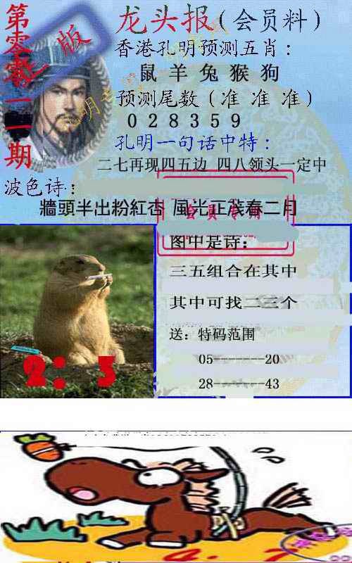 011期龙头报[图]