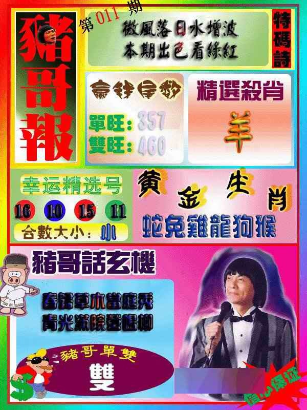 011期猪哥报[图]