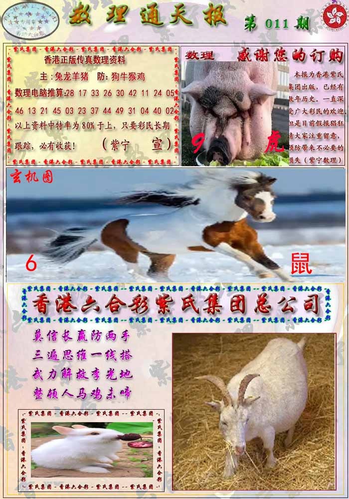 011期数通报[图]