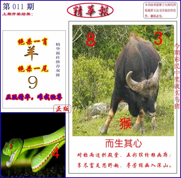 011期新精华报报[图]