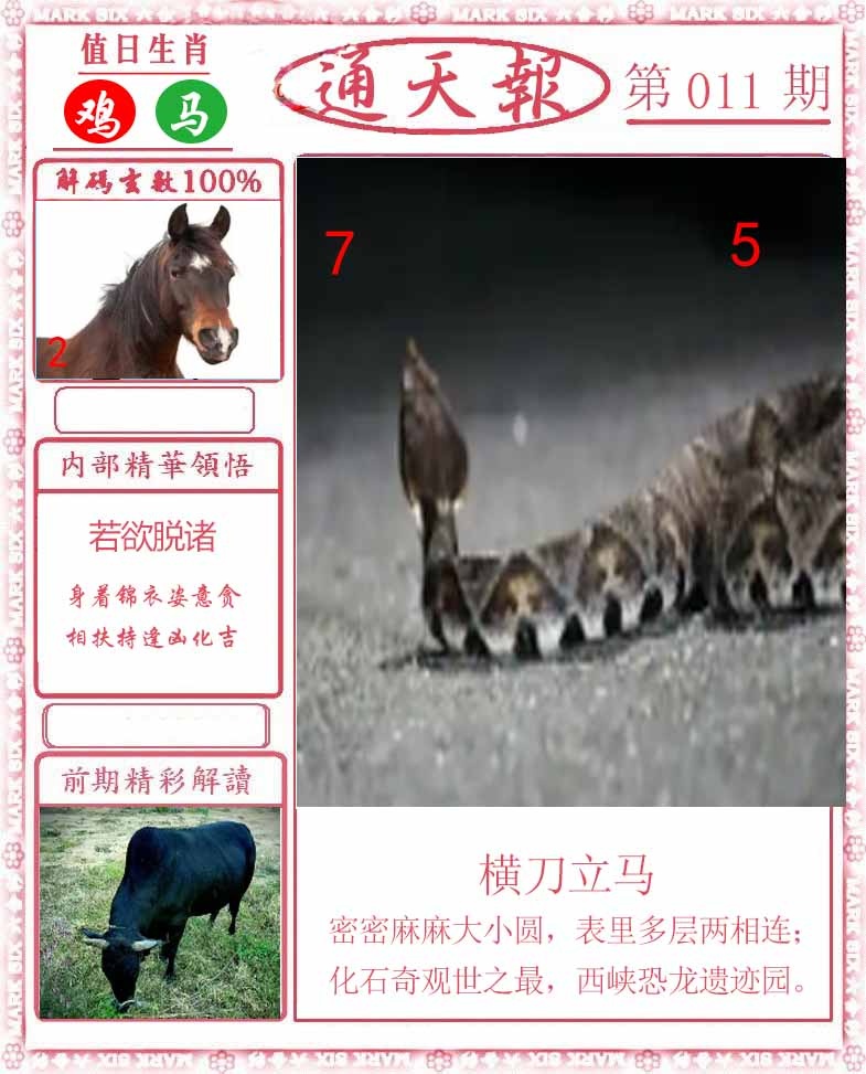 011期正版通天报[图]