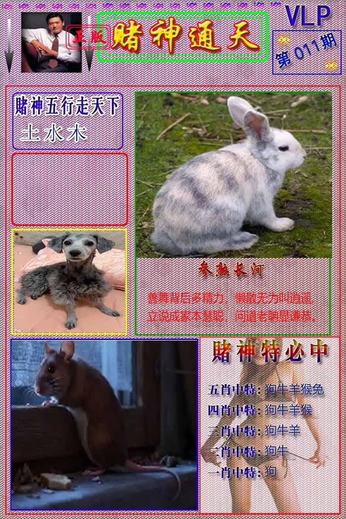 011期赌神通天报[图]