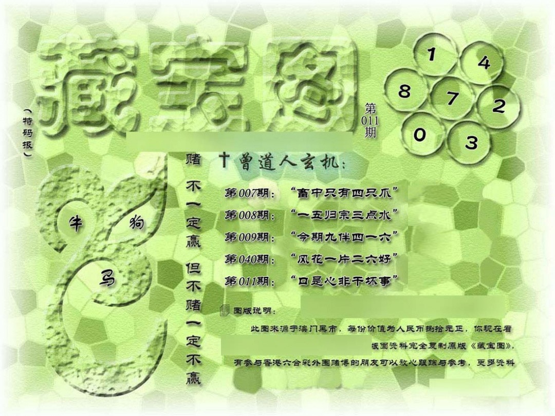 011期假新藏宝图[图]