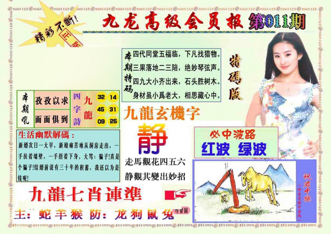 011期九龙高级会员报[图]