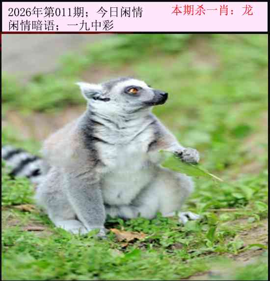 011期今日闲情[图]