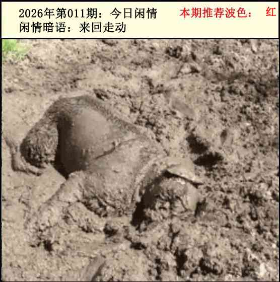 011期今日闲情2[图]