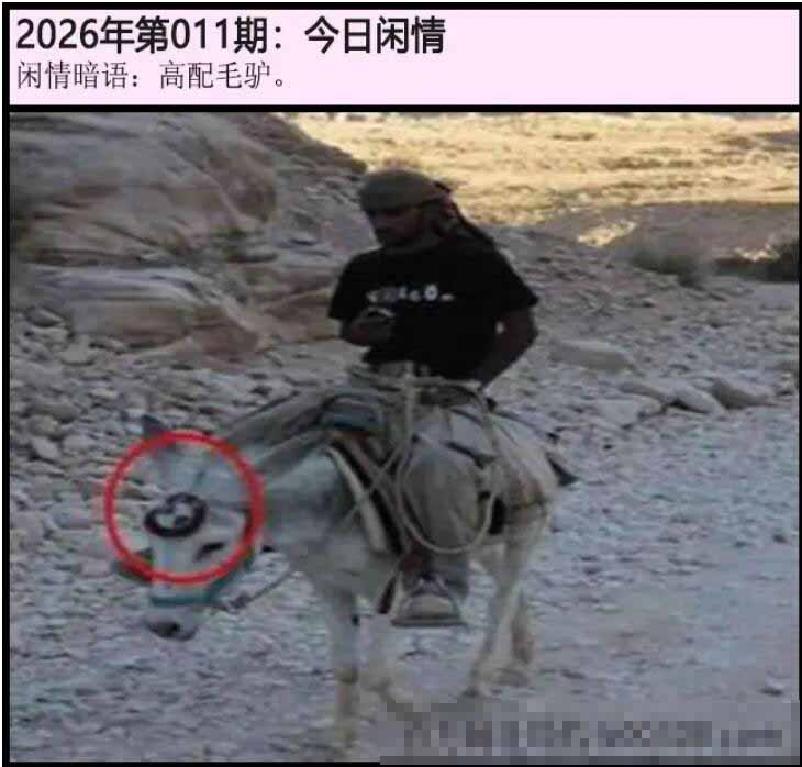 011期另版今日闲情[图]